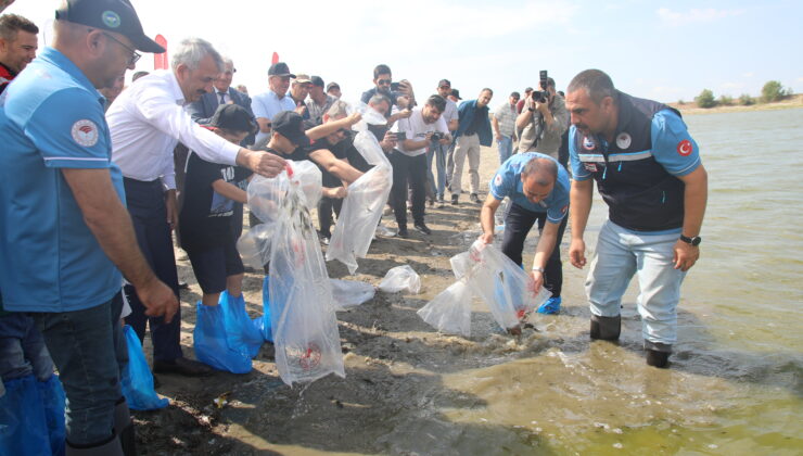 1 milyon 200 bin sazan yavrusu bırakılacak