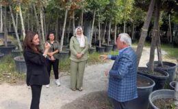 İpsala ıhlamur kokacak