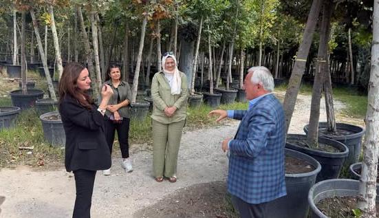 İpsala ıhlamur kokacak