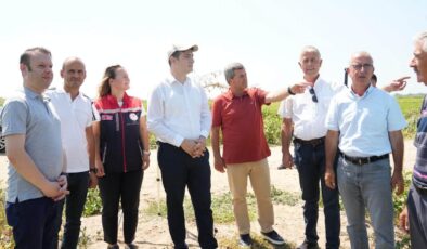İpsala’da çeltik üretim alanları incelendi
