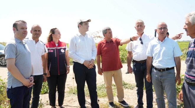 İpsala’da çeltik üretim alanları incelendi