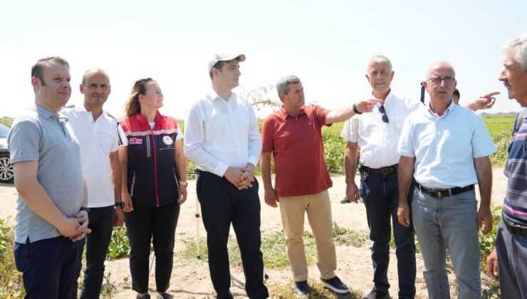İpsala’da çeltik üretim alanları incelendi