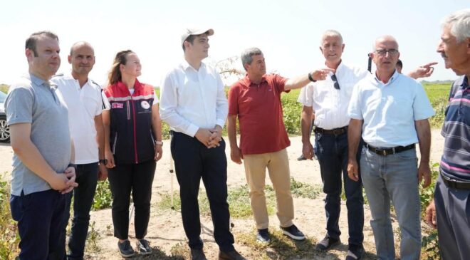 İpsala’da çeltik üretim alanları incelendi