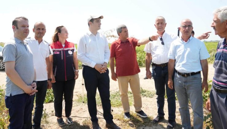İpsala’da çeltik üretim alanları incelendi