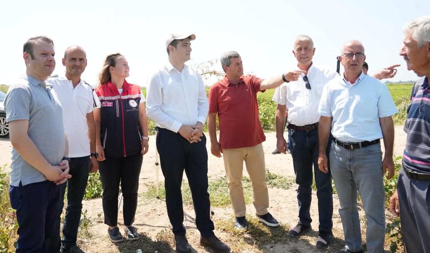 İpsala’da çeltik üretim alanları incelendi