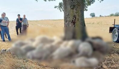 Mağdur üretici için yardım kampanyası