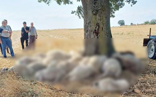 Mağdur üretici için yardım kampanyası