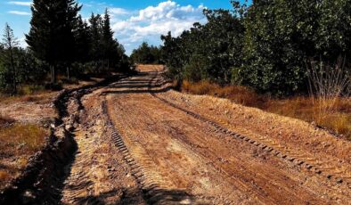 Orman yolları güçlendirildi