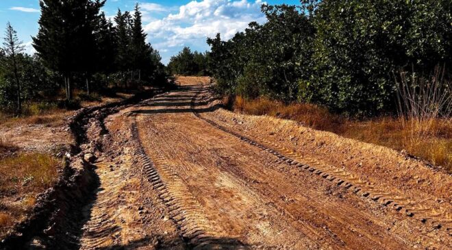 Orman yolları güçlendirildi