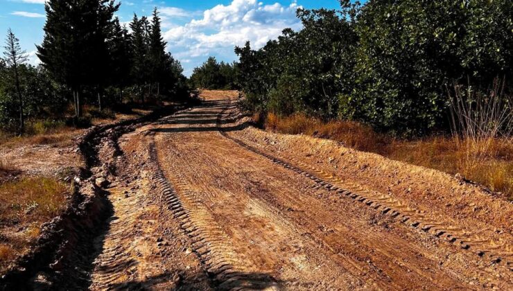 Orman yolları güçlendirildi
