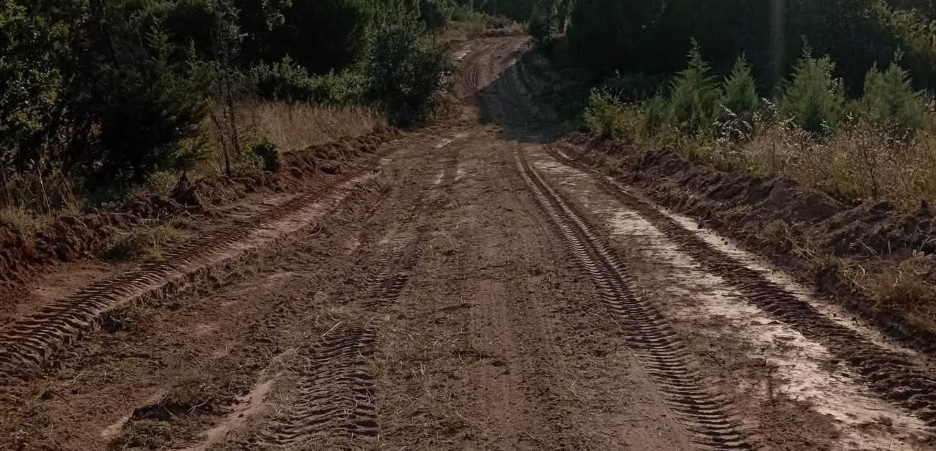 Orman yolları güçlendirildi