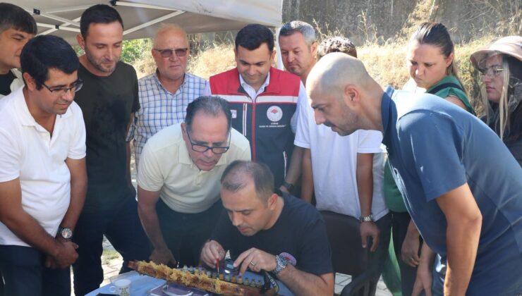 Ana arı yetiştiriciliği eğitimi verildi