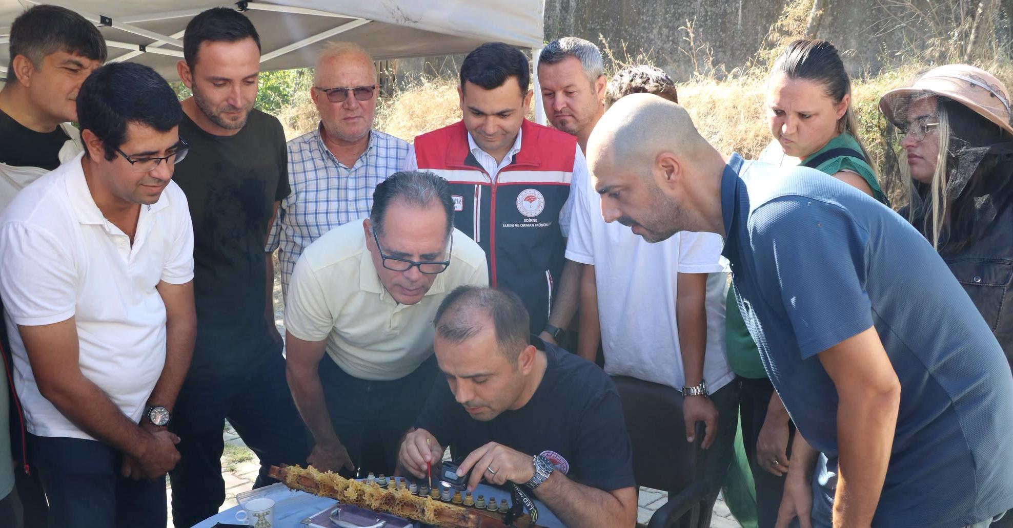 Ana arı yetiştiriciliği eğitimi verildi