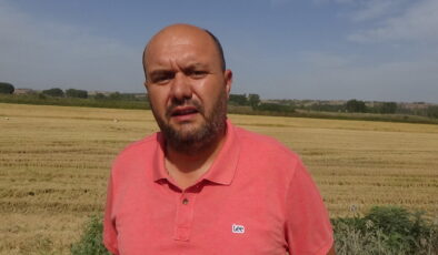 Ayçiçeğinde fiyat umutla yükseliyor