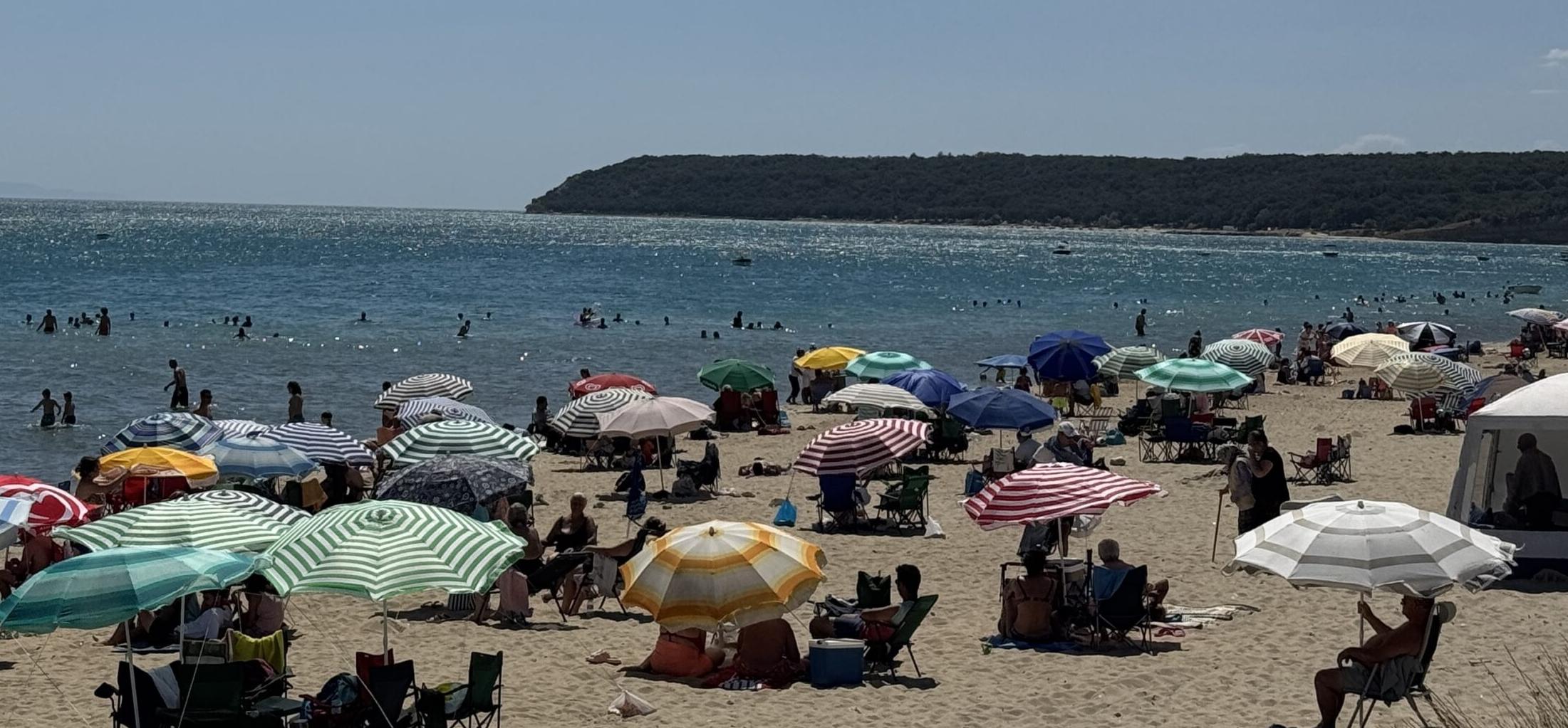 Saros Körfezi’nin suyu ‘mükemmel’ çıktı