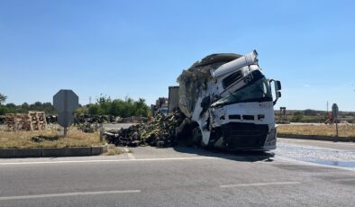 Meyve yüklü TIR devrildi