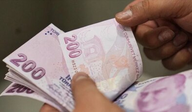 TMO 11 milyon ton ürün aldı