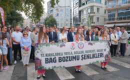 Bağ Bozumu Şenlikleri’nde renkli görüntüler