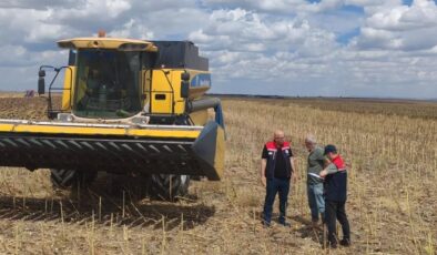 Biçerdöverler denetleniyor