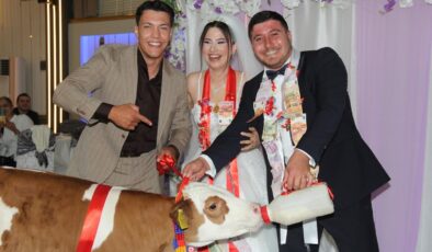 Gelin ve damada altın yerine buzağı!