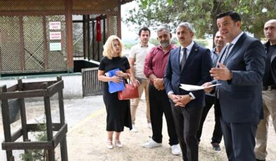 Hıdır Baba Türbesi yenilenecek