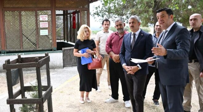 Hıdır Baba Türbesi yenilenecek