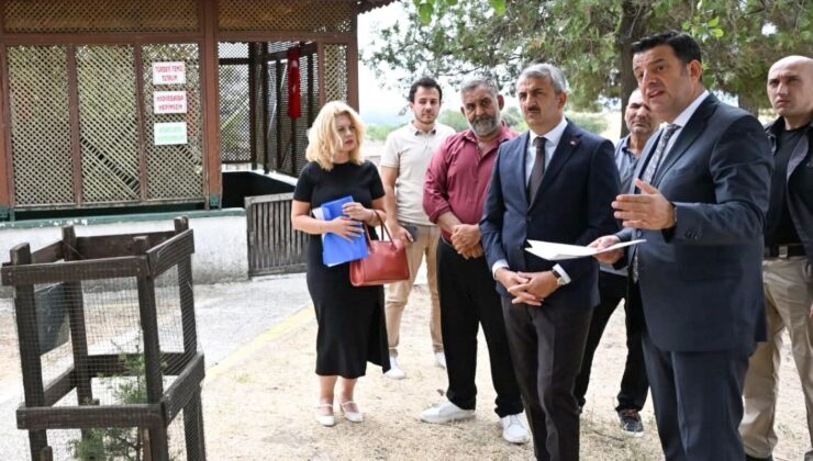 Hıdır Baba Türbesi yenilenecek