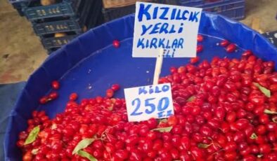 Kızılcık tezgaha çıktı