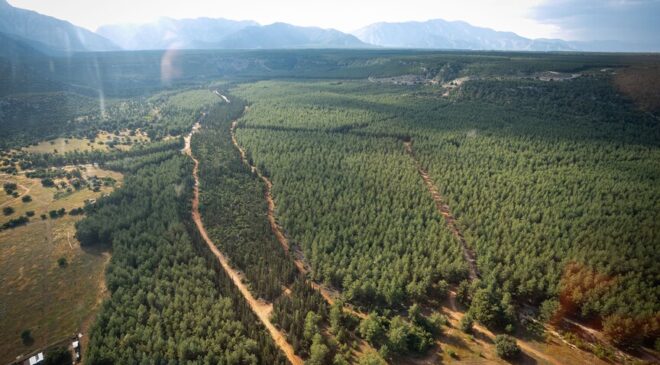 “Trakya Havzası’nda ekolojik tahribat derinleşiyor”