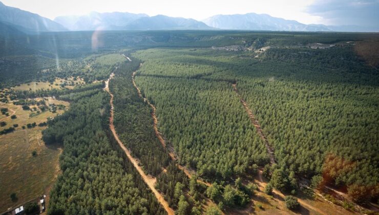 “Trakya Havzası’nda ekolojik tahribat derinleşiyor”