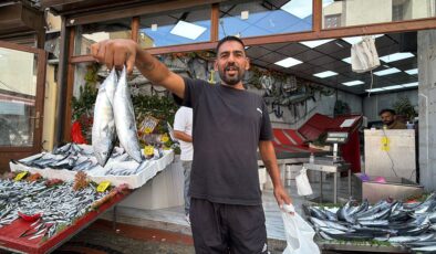 Palamut bolluğu yaşanıyor