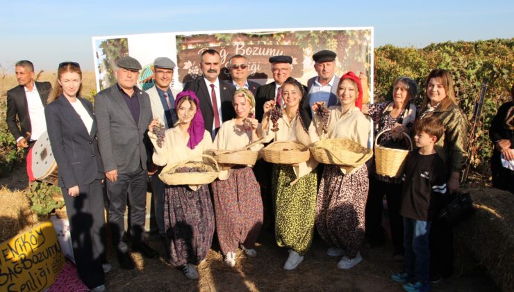 Yeniköy’de Bağ Bozumu coşkusu