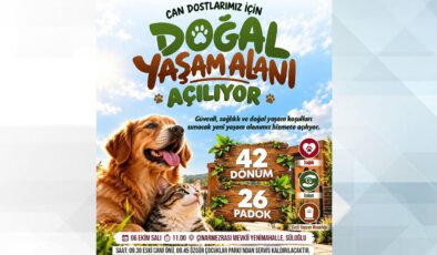 Can dostların yeni yuvası açılıyor