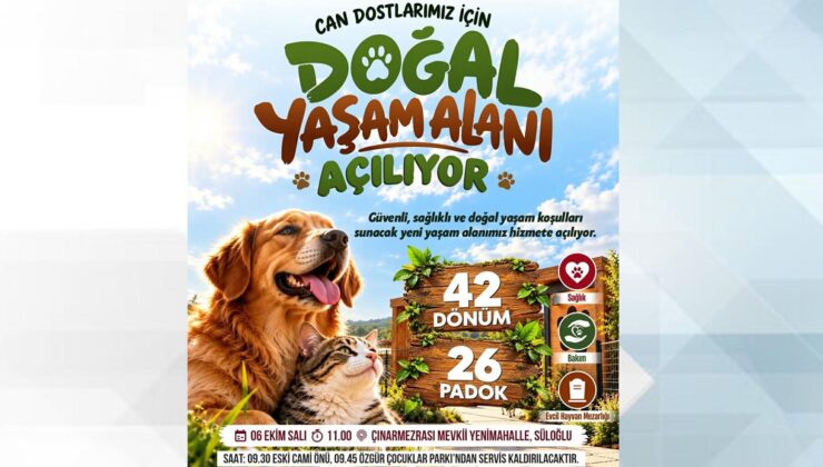 Can dostların yeni yuvası açılıyor