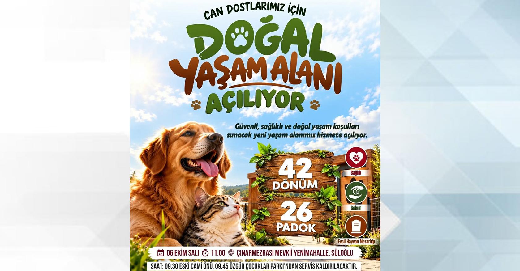 Can dostların yeni yuvası açılıyor