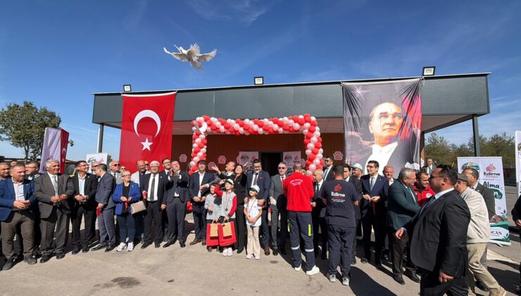 Can dostlara doğal yaşam