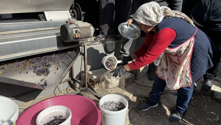 Hardaliye baldan tatlı