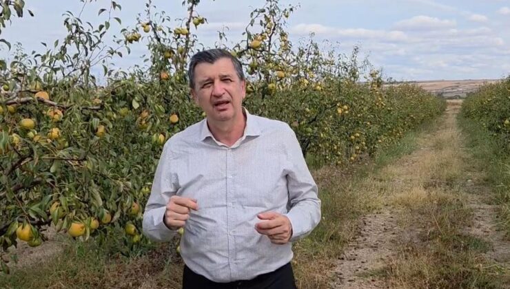 Meyveler dalında kaldı