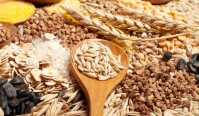Trakya’dan 1,9 milyar dolarlık ihracat