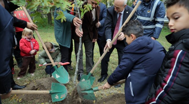 103. yıl fidanı toprakla buluştu