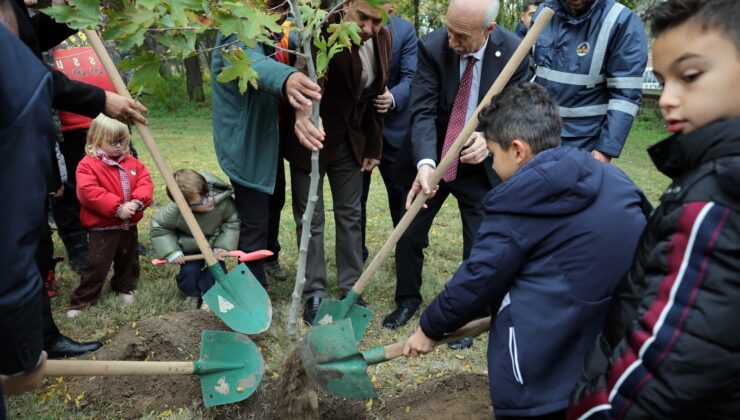 103. yıl fidanı toprakla buluştu